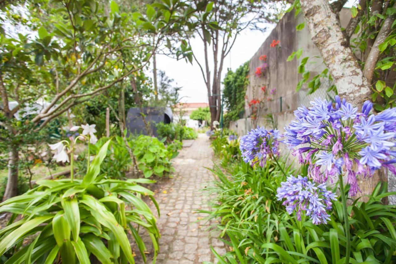 Beautiful Country House&Romantic Garden Sintra Ngoại thất bức ảnh
