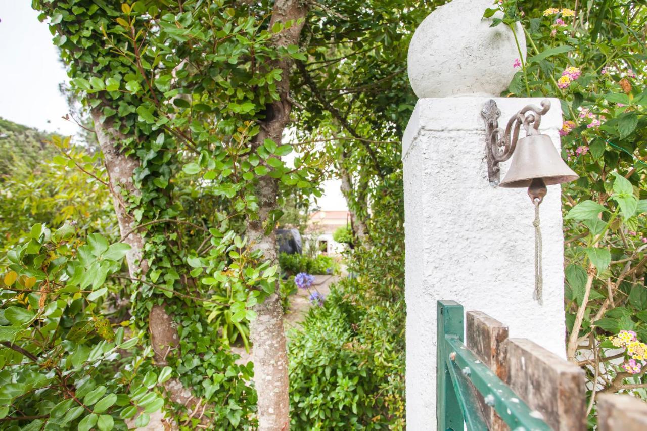 Beautiful Country House&Romantic Garden Sintra Ngoại thất bức ảnh