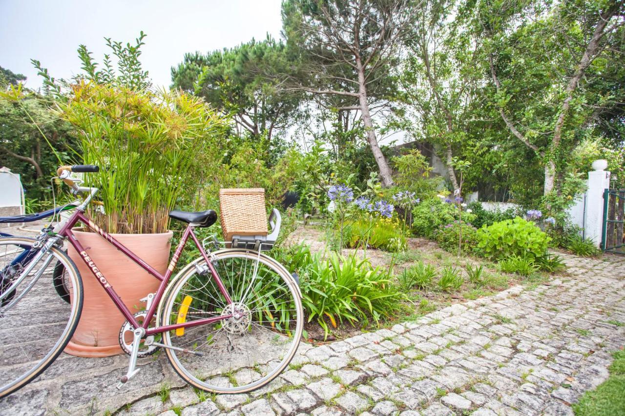 Beautiful Country House&Romantic Garden Sintra Ngoại thất bức ảnh